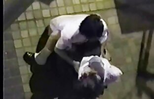 XXX 猫の性的存在 エッチ 動画 女子 向け